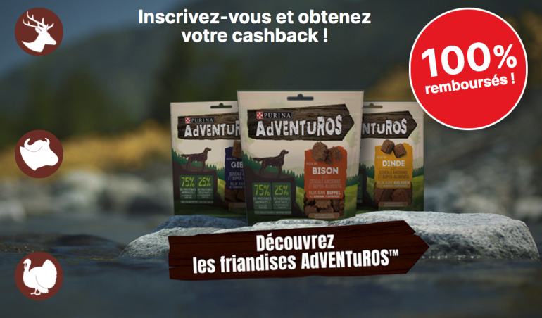 concours purina chien