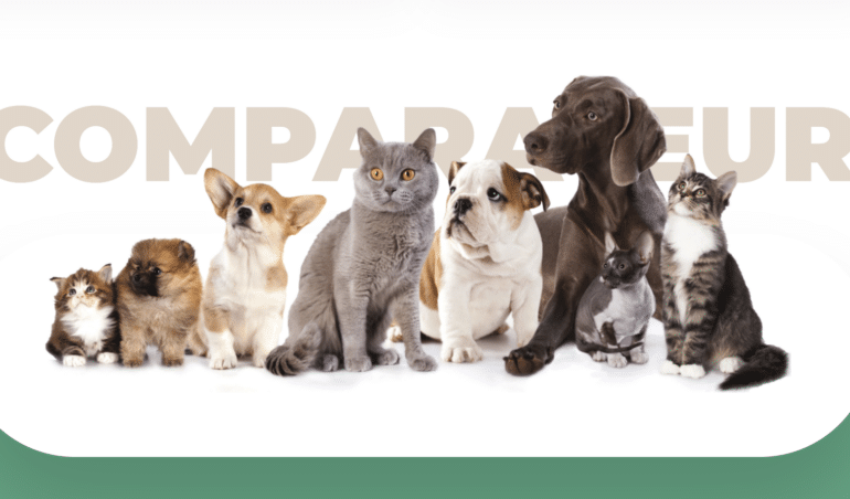 assurance pour animaux en belgique - comparatif