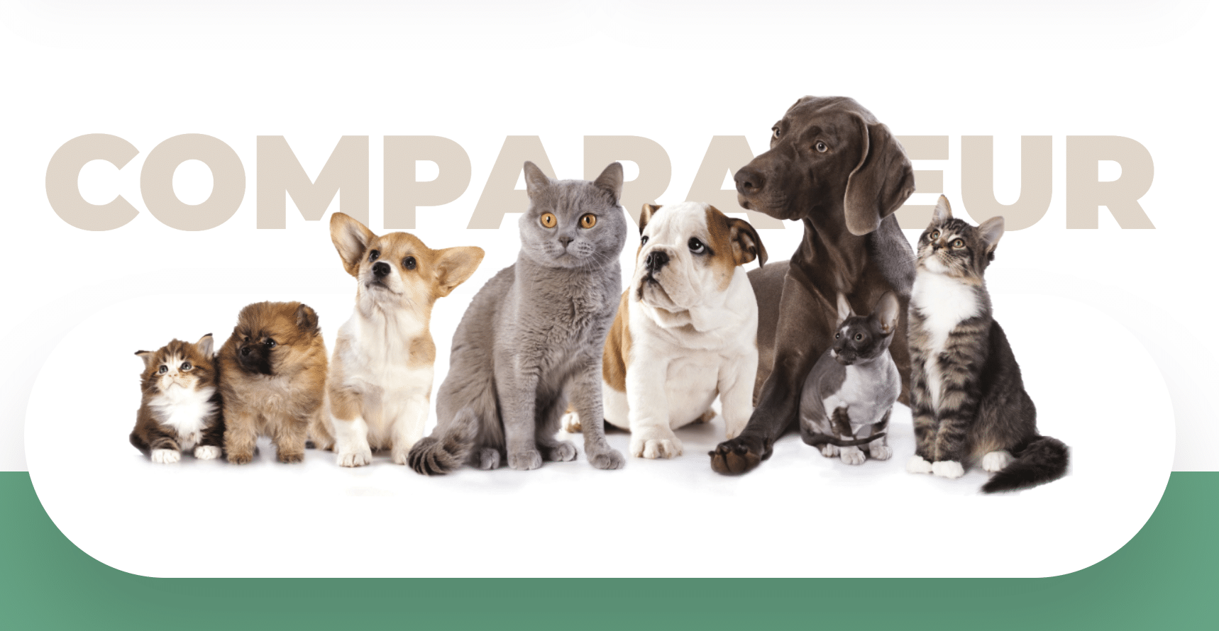 assurance pour animaux en belgique - comparatif